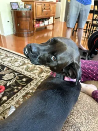 Winnie