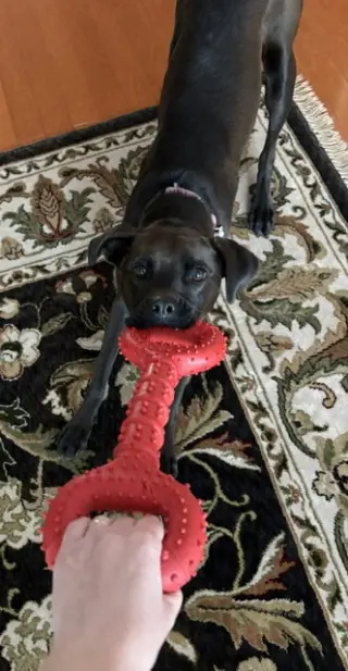 Winnie