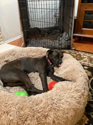 Winnie