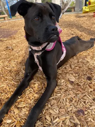 Winnie
