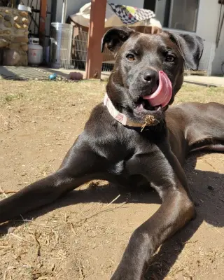 Winnie