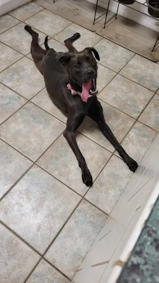 Winnie