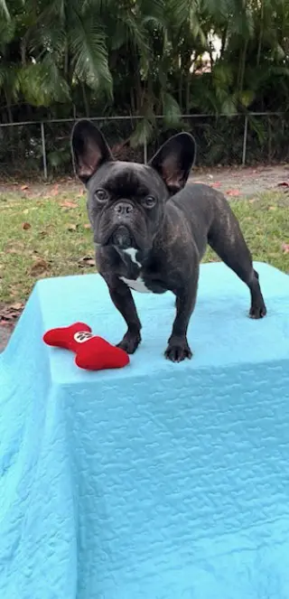 Percy