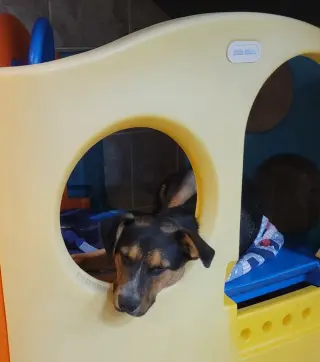 Rambo
