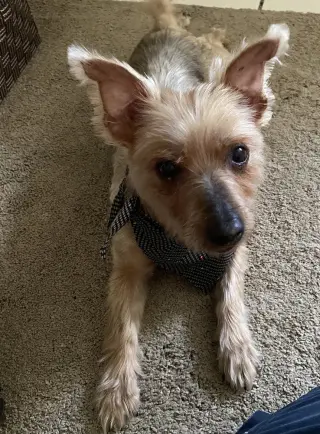 Coco