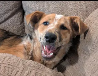 Rusty