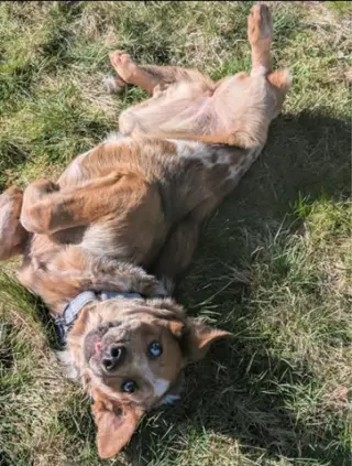 Rusty