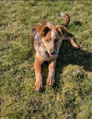 Rusty
