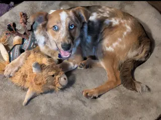 Rusty