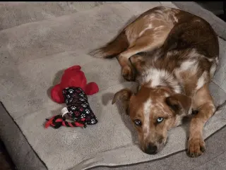Rusty