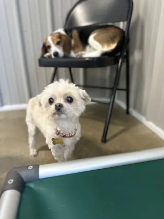 Sophie & Ashlynn