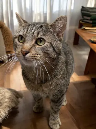 Bob