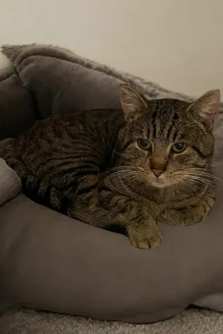 Bob