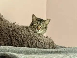 Marty
