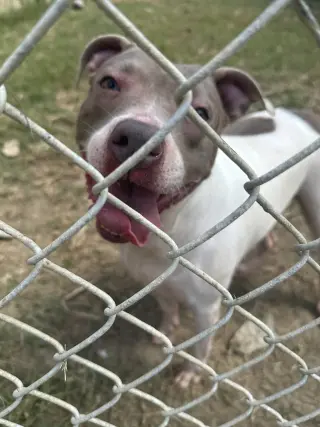 Loretta