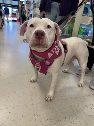 Sadie Mae