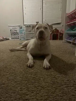 Sadie Mae