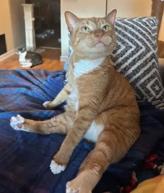 Diesel, Willow Grove Area, (FCID 04/13/2018-101)SN