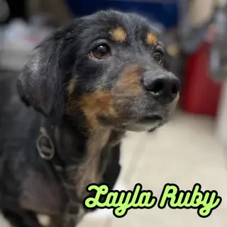 Layla Ruby