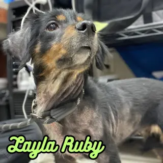 Layla Ruby
