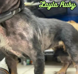 Layla Ruby