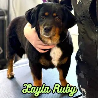 Layla Ruby