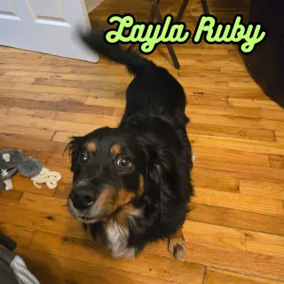 Layla Ruby