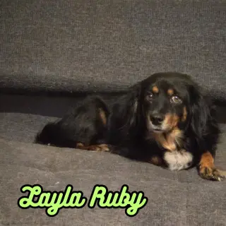 Layla Ruby