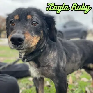 Layla Ruby