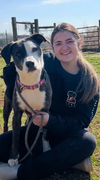 Daisy