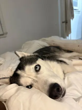 Zoey
