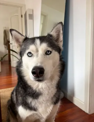 Zoey