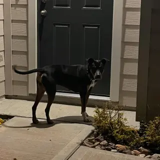 Duke