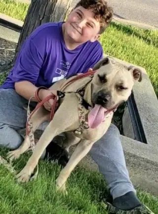Rex