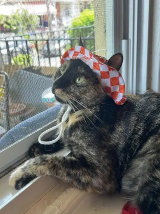 Penny