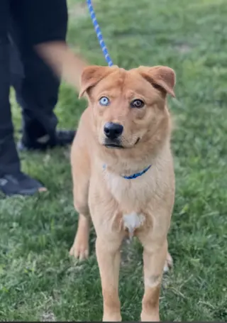 Sam
