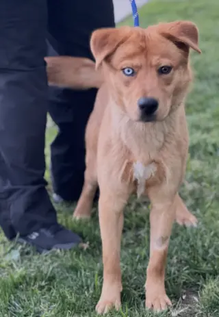 Sam
