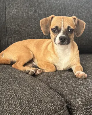 Kevin