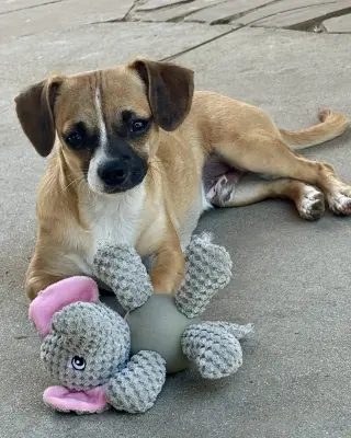 Kevin