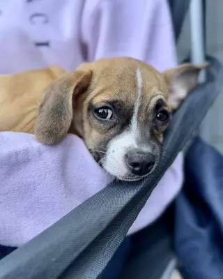 Kevin