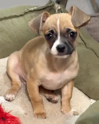 Kevin