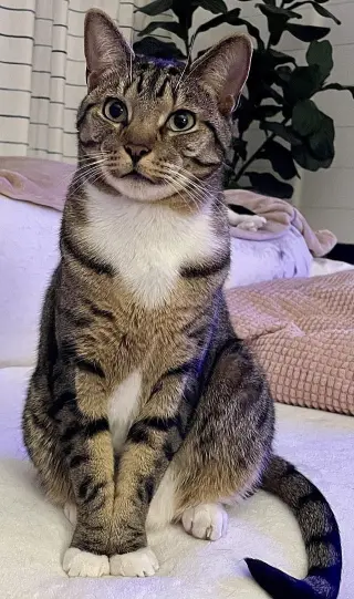 Charlie