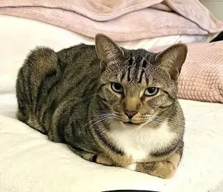 Charlie