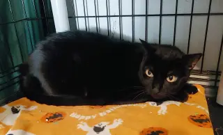 Stormy