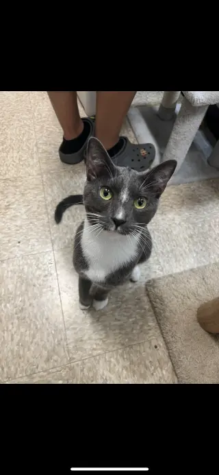 Bubba