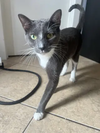 Bubba