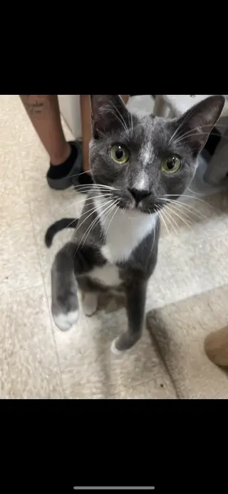 Bubba