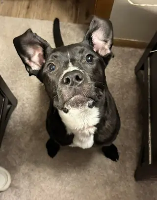 Gunther