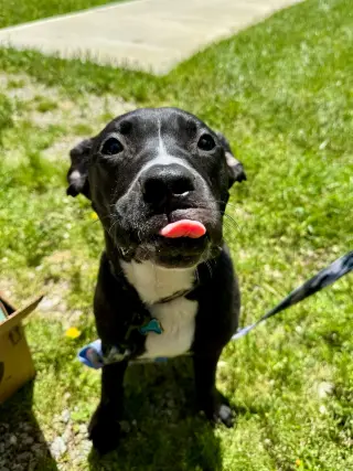 Gunther