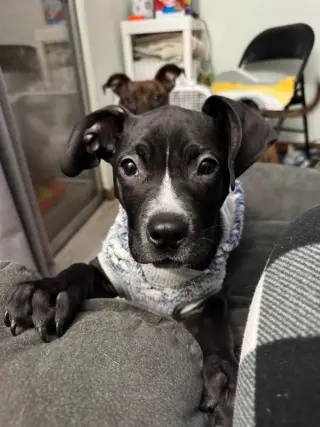 Gunther